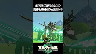 【ティアキン】白銀ライネルを40秒で倒せる最強兵器を作ったリンク【ゼルダの伝説 ティアーズ オブ ザ キングダム】