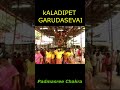 kaladipet garudasevai chennai19 sri perundevi kalyanavaradharaja perumal padmasree chakra shorts