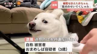 柴犬のせいでくしゃみが出ると訴えた赤ちゃん