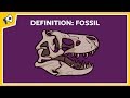 What is a fossil? Quick Definition