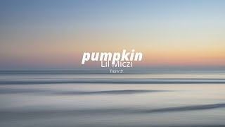 Lil Miczi - pumpkin