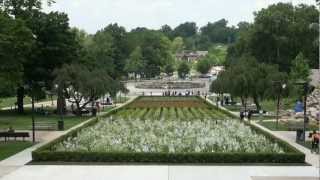 Sol LeWitt: Lines in Four Directions in Flowers