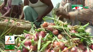 পেঁয়াজে স্বনির্ভরতা অর্জনে লাগবে আরো কয়েক বছর | Channel i News