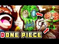 The Best One Piece Theory You'll Ever Watch, I Guess