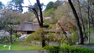 みちのく民俗村ライブ 2024.04.18 14:40