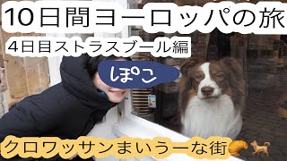 【10日間ヨーロッパの旅】4日目 ストラスブール編【ぽこ旅らいふ】