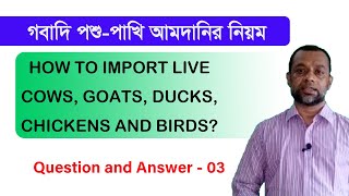 গবাদি পশু পাখি কিভাবে আমদানি করবেন How to import Animals and birds Question and Answer   03