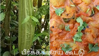 15 நிமிடத்தில் ஈசியான பீர்க்கங்காய் கூட்டு | Peerkangai Kootu in Tamil | Peerkangai Recipe Tamil |