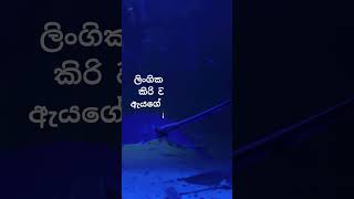 ඇත්තටම එහෙම වෙයිද? 😍😍. #psychology  #education #shorts