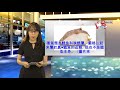 真正的「鱈魚」快絕種了...那便當店、鐵板燒、家裡煮的鱈魚，到底是什麼？ fjfsouza