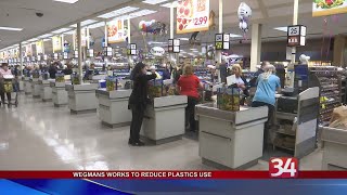 Wegmans Green Initiative