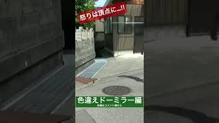 【激怒】ドーミラーが全く色違わず限界を超えた漢　#shorts