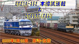 【試運転】EF210-352/75ﾚ EF65PF【貨物列車】