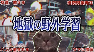 【実話】野外学習が地獄と化した話【猫ミーム】