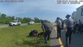 DeWine calls for better police training after Circleville officer deploys K9 on truck driver
