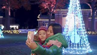 Holiday Lights 2022 | Bronx Zoo