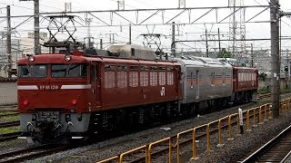 2019/07/23 【黒磯訓練】 EF81 133 + カヤ27-501 + EF81 139 尾久駅 | JR East: Training Train at Oku