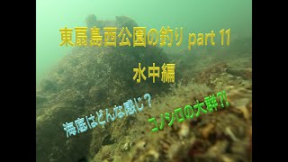 東扇島西公園の釣り part 11 水中編 2021年12月3日