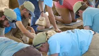 Longwood Archaeology Field School