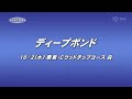 【調教動画】2024年 京都大賞典｜jra公式