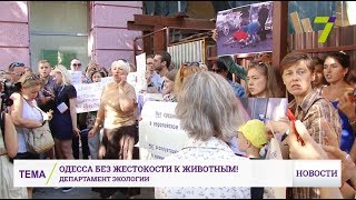 Одесса без жестокости к животным! Зоозащитники провели митинг