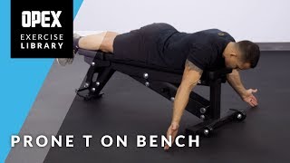 Prone T on Bench - Opex Exercise Library