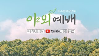 NSG농아장년부 수어야외예배ㅣ성경(4)ㅣ시 19:7-11ㅣ22.6.26