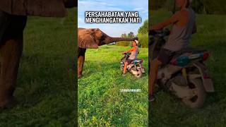 Persahabatan Unik Gajah dan Manusia