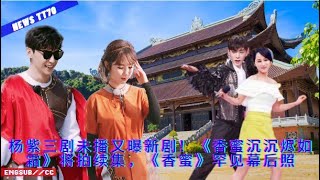 Yang Zi's three new dramas have not been broadcast yet! \