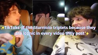 TikToks of the Sturniolo triplets because they are iconic in every video they post