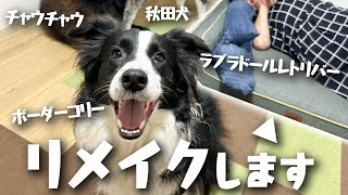 破壊されたベッドをリメイクしました【チャウチャウ・秋田犬・ボーダーコリー・ラブラドールレトリバー】【多頭飼い】【大型犬】