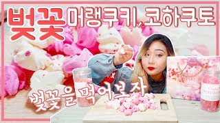 [Eating sound] 벚꽃을 먹어보자🌸 봄담은 머랭쿠키\u0026코하쿠토 이팅사운드 Meringue cookies\u0026Kohakuto Mukbang