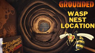 How To Unlock The Wasp Nest in Grounded | Wasp Nest Location | Disturb The Wasps Nest