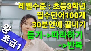 레벨별 단어모음1단계-초중등 학교 영어를 기준으로 필수 단어들 읽기 연습 #파닉스#왕초보영어#싸이트워즈#단어빨리읽는방법#성인영어#처음영어#영어단어#영어읽기#일상영어#초등영어단어