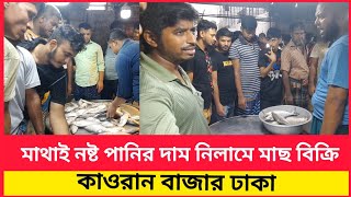 কম দামে নিলামে ইলিশ মাছ কিনুন|প্রচুর সস্তায় বিক্রি হচ্ছে নিলামে ইলিশ মাছ|bd Hilsa fish market price