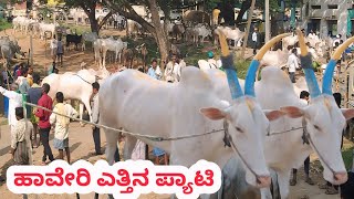 ಹಾವೇರಿ ಎತ್ತಿನ ಪ್ಯಾಟಿ || Haveri Bulls Market || Cattle Market || ಪ್ರತಿ ಗುರುವಾರ ಬೆಳಿಗ್ಗೆ ||