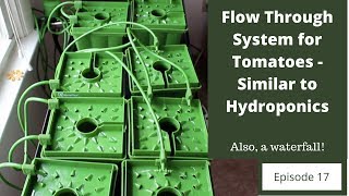 Flow Through System for Tomatoes - Similar to Hydroponics