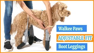 "How To Fit" Walkee Paws ADJUSTABLE FIT Boot Leggings | Best Dog Leggings With Boots 2022