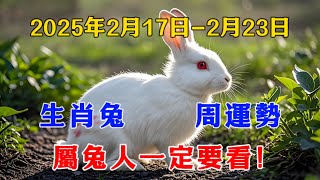 2025年2月17日--2月23日屬兔人 周運勢  再忙再有錢也一定要看！！！#十二生肖 #星座 #2025年の運勢 #熱門 #五行八字 #财運 #流量 #推薦 #正能量 #風水佈局