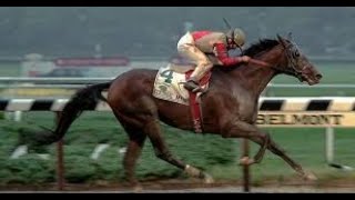 Belmont Stakes (G1) 1993