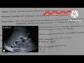 how to read ultra sound abdomen report in telugu