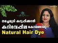 കറിവേപ്പില കൊണ്ടൊരു Natural Hair Dye  | Remove Your Grey Hair Naturally With This Ingredients