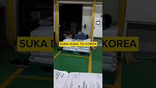 SUKA DUKA TKI KOREA‼️ #pmikorea #gtogkorea #tkikorea #bp2mi #videoshorts #viral