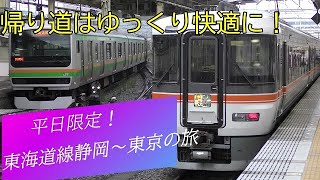 ホームライナー沼津＆グリーン車｜特急東海号気分に浸る、静岡～東京の鉄旅。