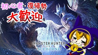 【MHWIB PS版】楽しく色んなクエストを回ろう！  参加型【初見さん大歓迎！】※概要欄お読みください【モンスターハンターワールド：アイスボーン】