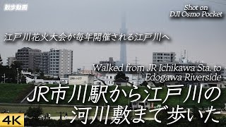 【市川】JR市川駅から例年花火大会も開かれる江戸川へ歩いた  Walk from JR Ichikawa Sta. to Edogawa Riverside.【Osmo Pocket/X-E4】