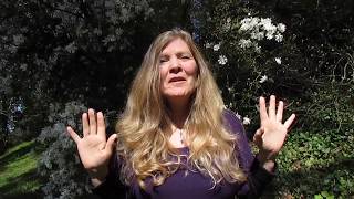 Holy Fire Reiki Ignitions