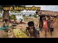 पहाड़ी कोरवा जनजीवन छत्तीसगढ़ Pahadi Korwa Daily Life Style Chhattisgarh