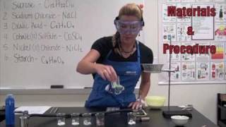 Types of Bonds Lab
