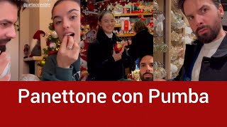 Panettone con Pumba e mercatini Natalizi - Angolo Di Paradiso Family Instagram Stories 29/11/22